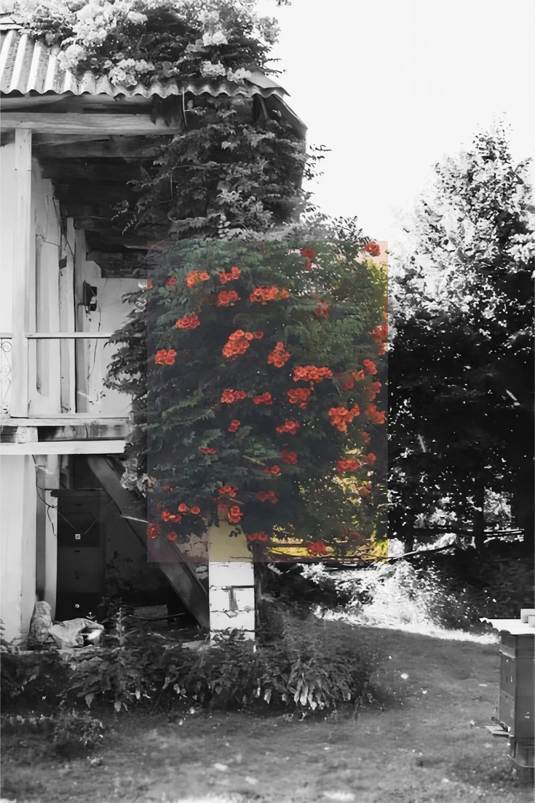 5565c1403858609304611b5f5468a5ec 5565c1403858609304611b5f5468a5ec