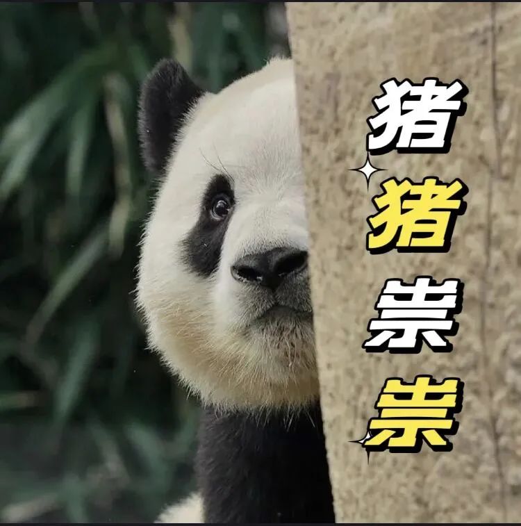 1407b4bc65f65bbbffccda10799b6970 1407b4bc65f65bbbffccda10799b6970