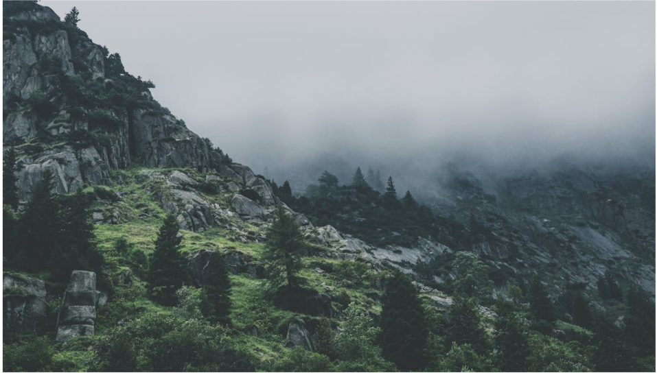 微信圖片_20240130133924 微信圖片_20240130133924