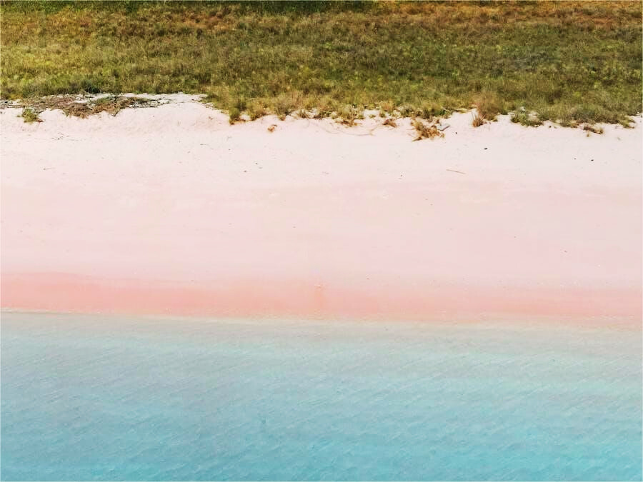 79957355-9e29-443b-9e52-c79a7c17b871 79957355-9e29-443b-9e52-c79a7c17b871